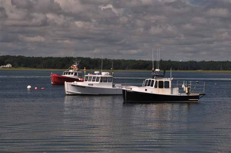 hampton harbor